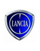 Sonniboy autozonwering Lancia Delta III 5-deurs 2008-