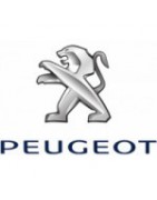Autozonwering voor de Peugeot van Sonniboy - Sonniboynederland.nl