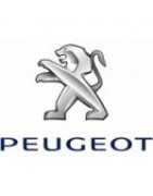 Sonniboy autozonwering Peugeot 308 SW 2014-