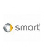 Sonniboy autozonwering Smart ForFour (453) 4-deurs 2014-